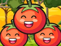Tomato Ketchup