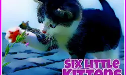 Six Little Kittens image