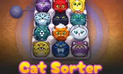CatSorter Puzzle
