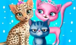 Cat Hair Salon image