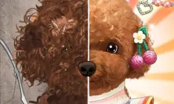 https://www.poki.com.es/game/pet-makeup-master