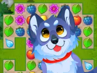Garden Match Challenge