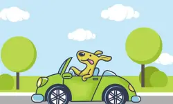Animal Happy Drive Coloring