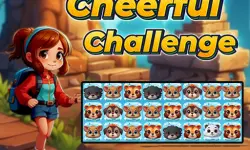 Cheerful Challenge