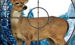 Stag Hunter