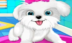 Puppy: Pet Salon  amp;amp; Dog Daycare image