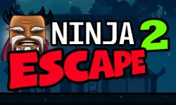 Ninja Escape 2 image