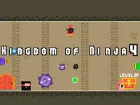 Kingdom of Ninja 4