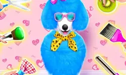 Princess Pet Beauty Salon image