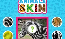 https://www.poki.com.es/game/animals-skin