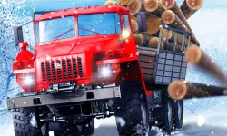 Truck Driver Snowy Roads image