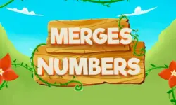 Merges Numbers