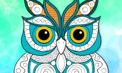 Zentangle Coloring Book