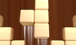 image bg Woodoku Block Puzzle