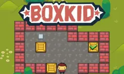 BoxKid image