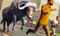Angry Bull Attack Wild Hunt Simulator