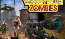 Valley Gun Zombies image