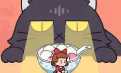 Kitten Hide And Seek