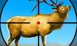 Wild Deer Hunting 3D