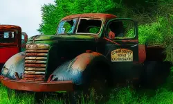 Old Rusted Trucks