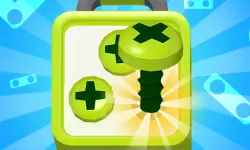 Screw Sort Puzzle Pin Jam 3D image