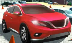 Driving Test Simulator image