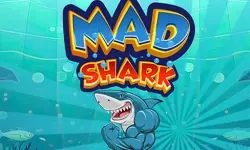 Mad Shark Fish image