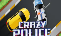 Crazy Police