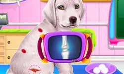 Labrador Puppy Daycare Salon image