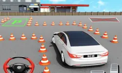 Fish Parking 3D image