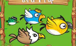 Bird Trap image