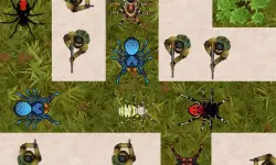 Spider Defense