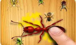 Ants Touch image