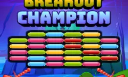 Breakout Champion image