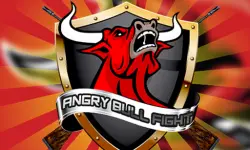 ANGRY BULL image