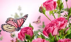 Butterflies Puzzle image