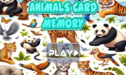 Animal cards memory