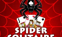 The Spider Solitaire image