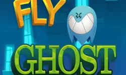 Fly Ghost