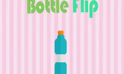 Bottle Flip Pro