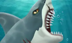 Shark Attack-Casual