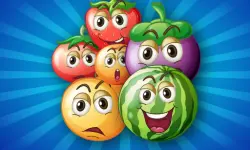 Fruit Smash Master Online Game