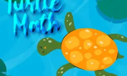 Turtle Math image