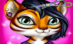 Cute Animal Hair Salon