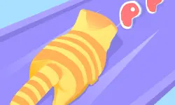 Cat Evolution image