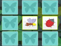 Kids Memory - Insects