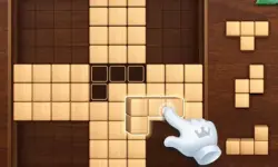 Blocks Puzzle Wood