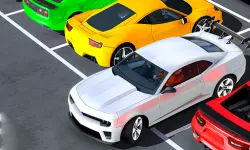 Real Advance Car parking