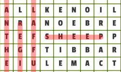 Animals Word Search