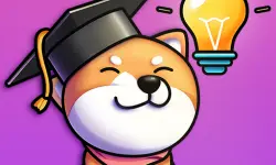 Brain Find: Can you find it?